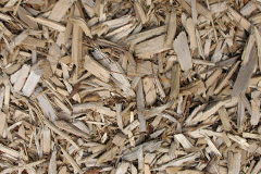 biomass boilers Trewoon